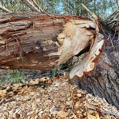 Biber Nyaraló Godendorf (Mecklenburg-Vorpommern)