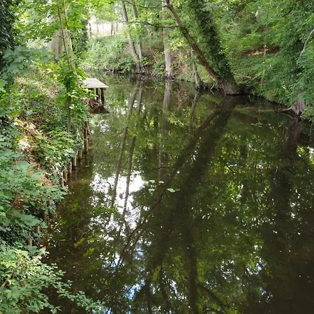 Biber Dom wakacyjny Godendorf (Mecklenburg-Vorpommern)