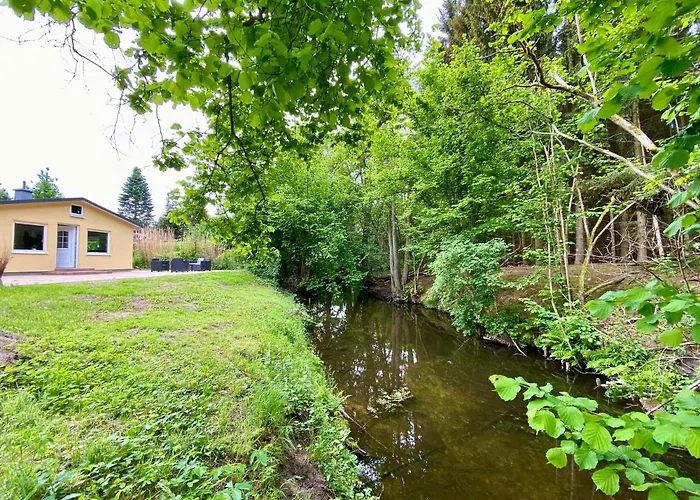 Biber * Godendorf (Mecklenburg-Vorpommern)