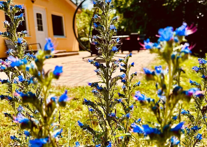 בית נופש Biber Godendorf (Mecklenburg-Vorpommern)
